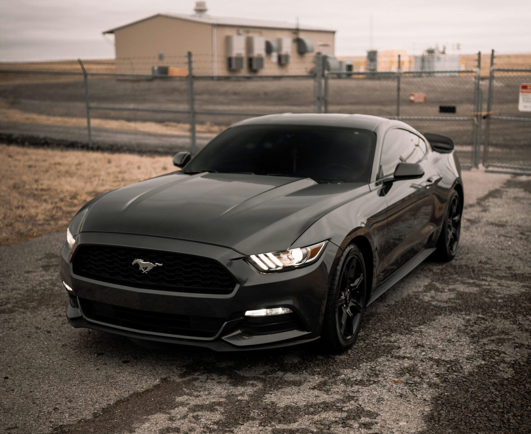Ford Mustang Car Price in Nigeria